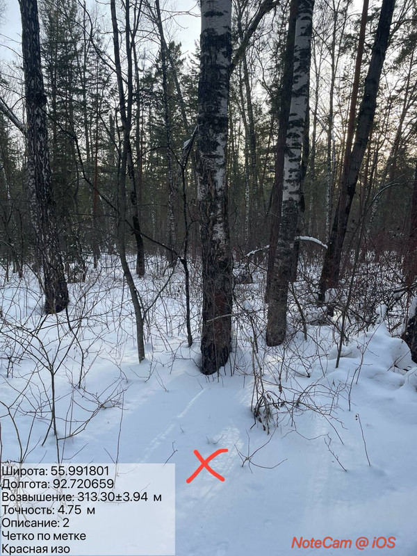 photo 2026 02 09 16 52 26