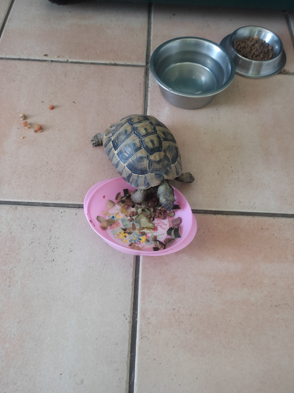 [Image: IMG-20250510-130919.jpg]