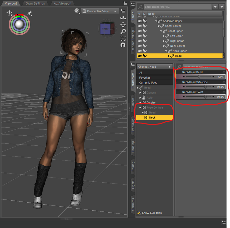 Head Pose Controls