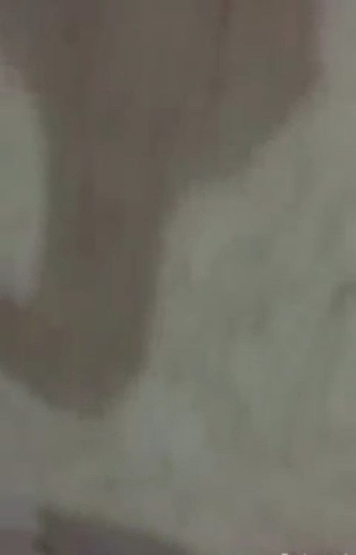 20250116095305.jpg