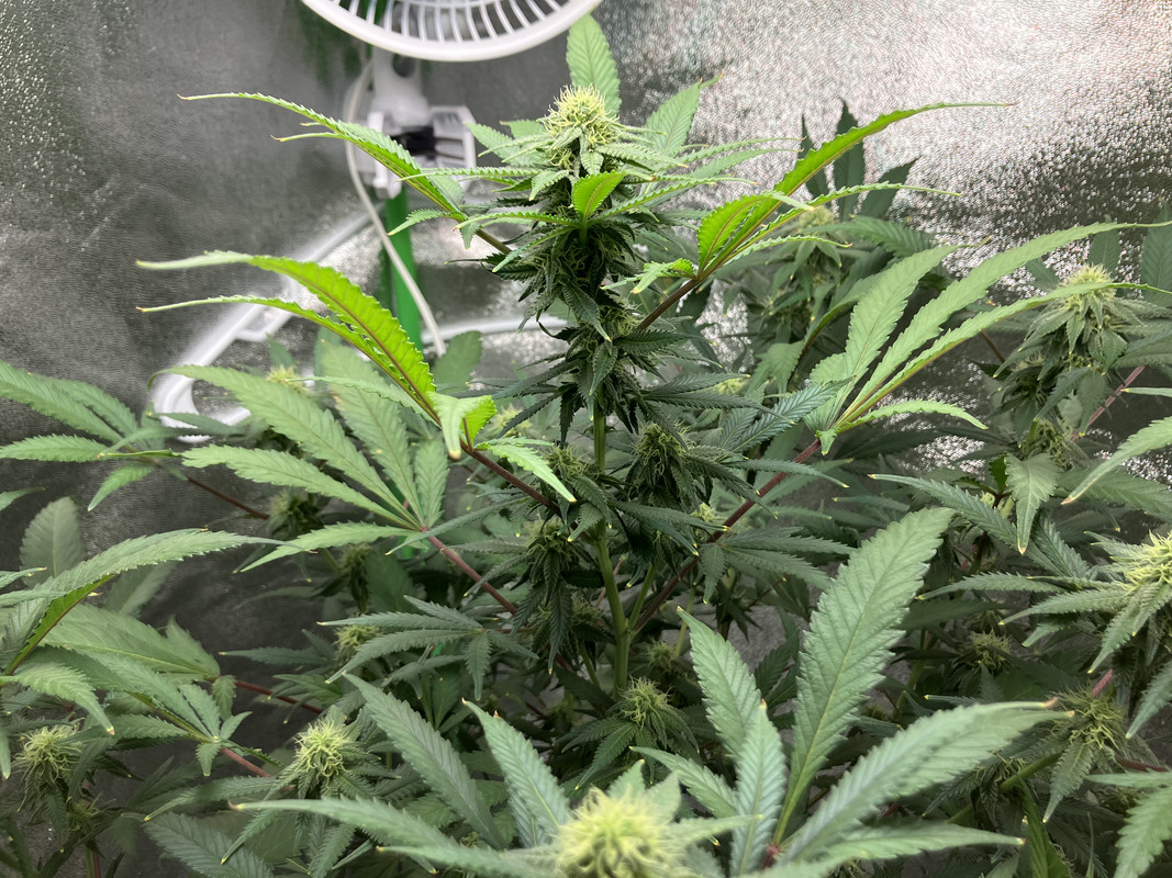 5667B309-ECEE-4C32-B507-32874961C705