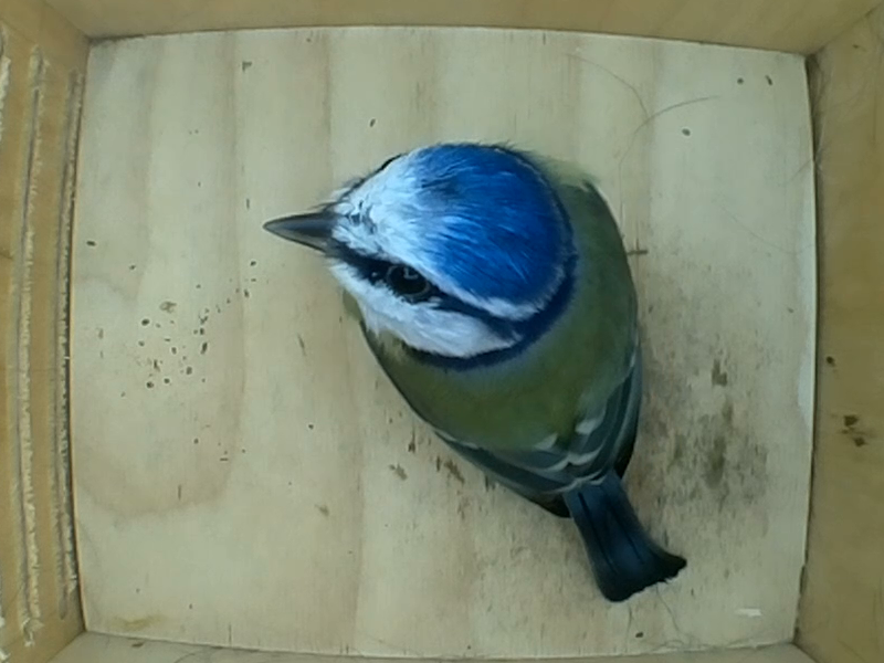 Untitled Project (Time 0_00_26;07)