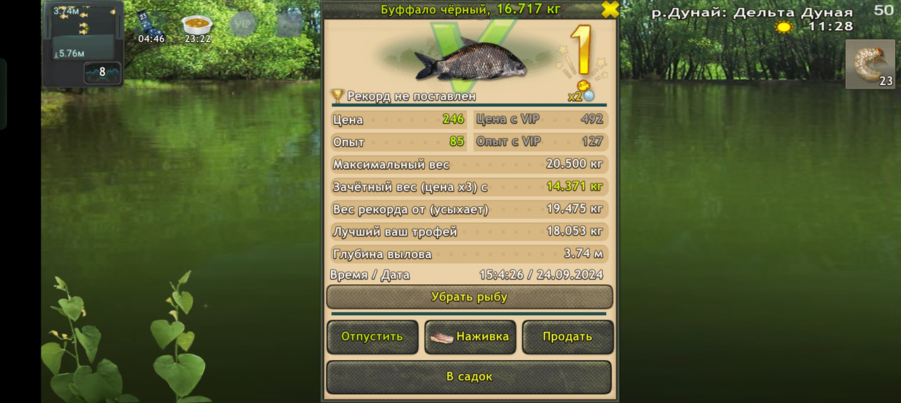 Screenshot-2024-09-24-15-04-32-07-fa28ee