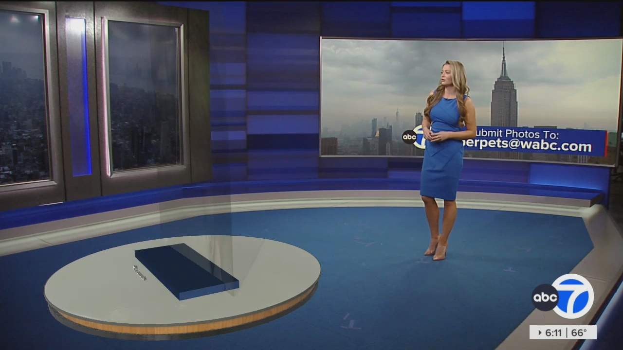 Eyewitness News Sunday Morning_20240526_11001230.ts_snapshot_00.12.56.274