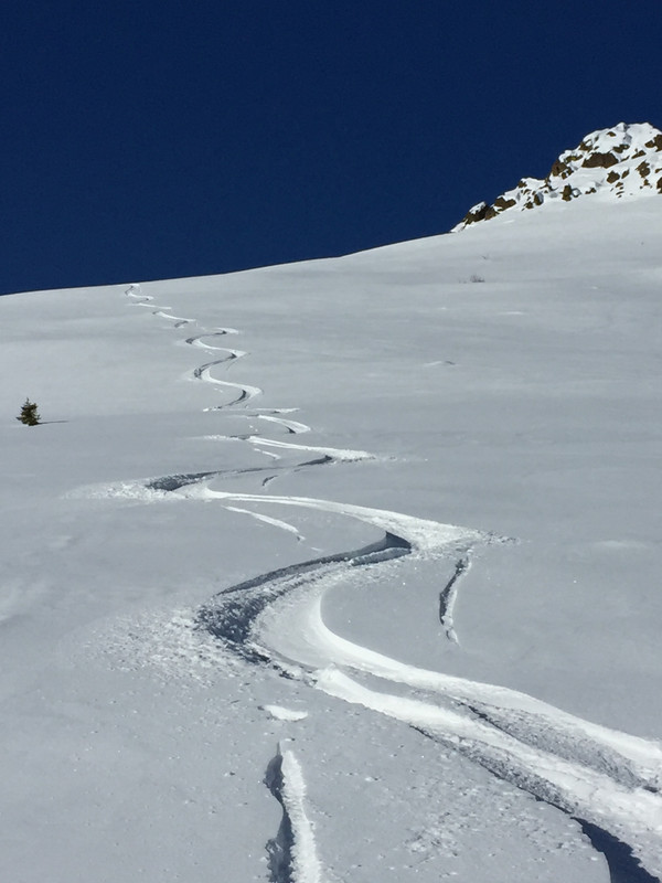 03853538-BC12-4C62-8160-B5CD75360D55