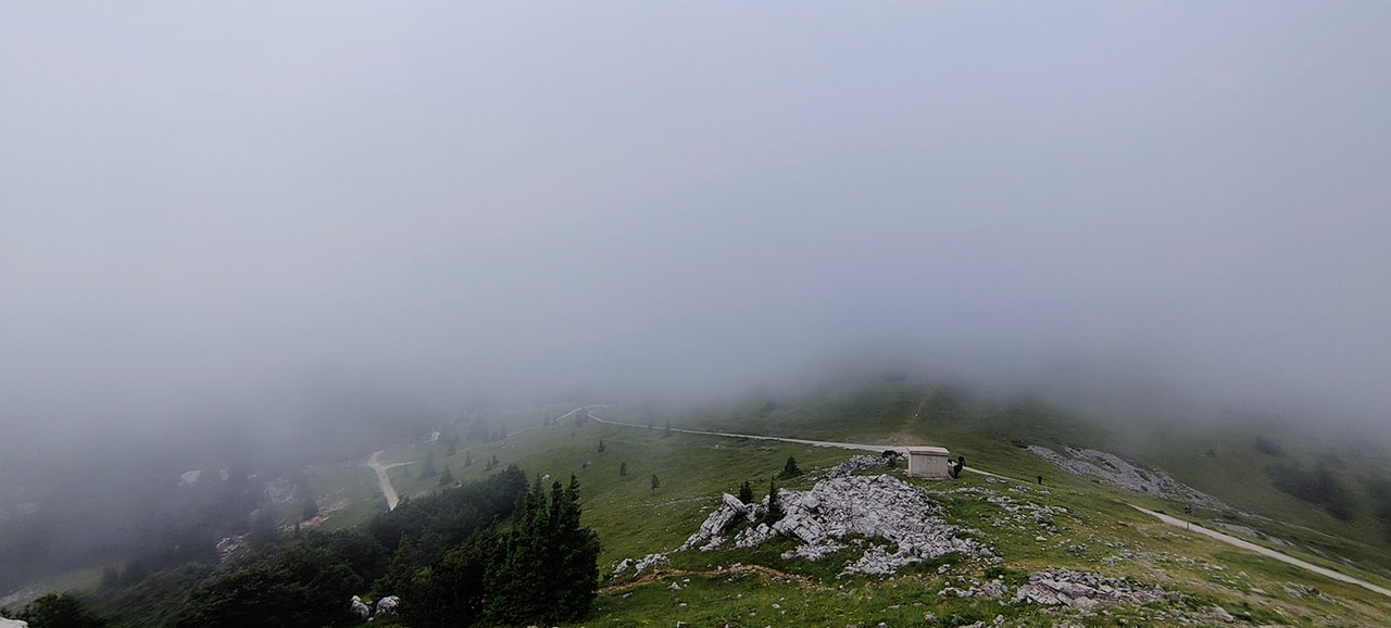 204696220_5685391971502749_9180817275264975467_n