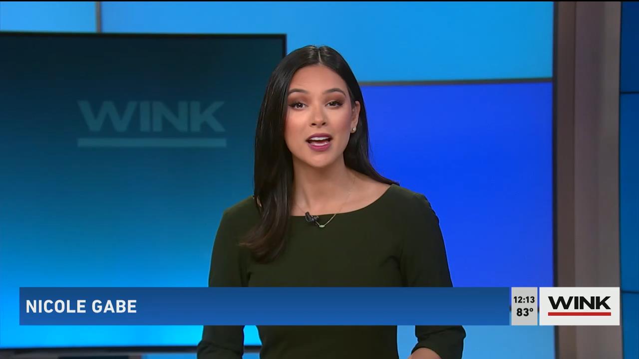 11.03 - 16.00.00 - WINK Noon News. Local news, sports and weather.ts_snapshot_19.09_[2021.11.03_18.3