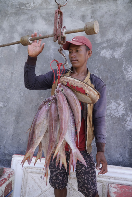 EC317D77-31AD-4366-B0EA-F148E85AA0B2