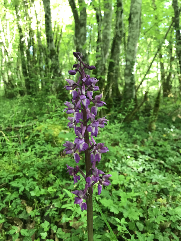 EC2EED99-61B7-4524-9760-73AAAD60F1BC