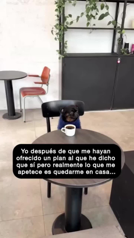 Miniatura do video do TikTok