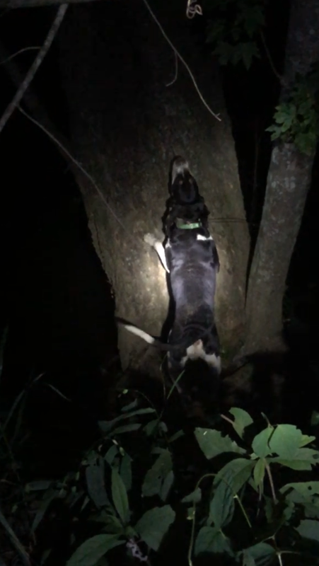 8698A061-FB6B-486C-9E6F-82918833353E