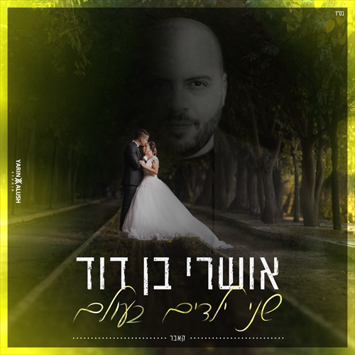 תמונה