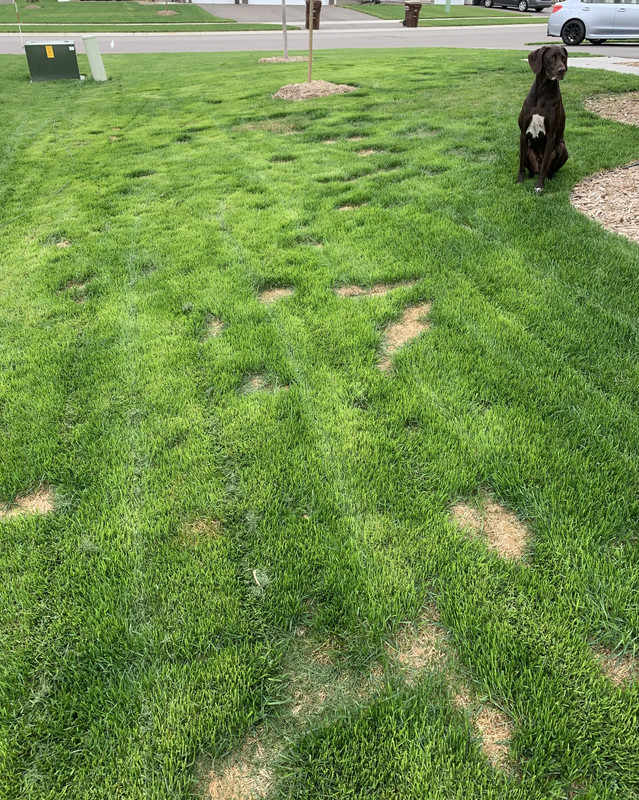 C8872D22-C791-4F42-9397-D6EC0D16B5B7