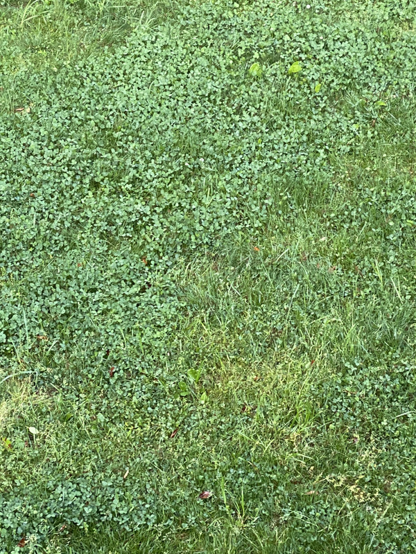 7FBEA8FB-163B-4993-AF46-E0719DC6F23F