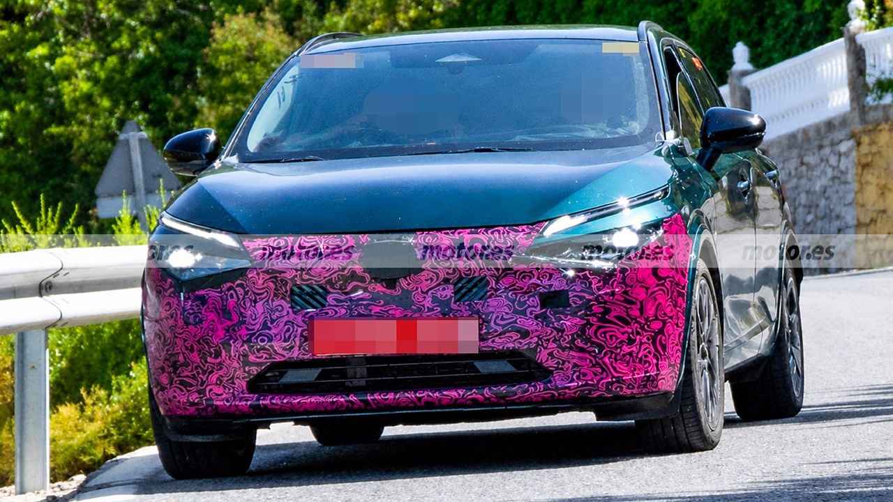 IMG-2610