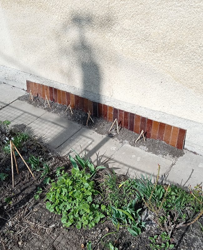 IMG_20250328_104725241