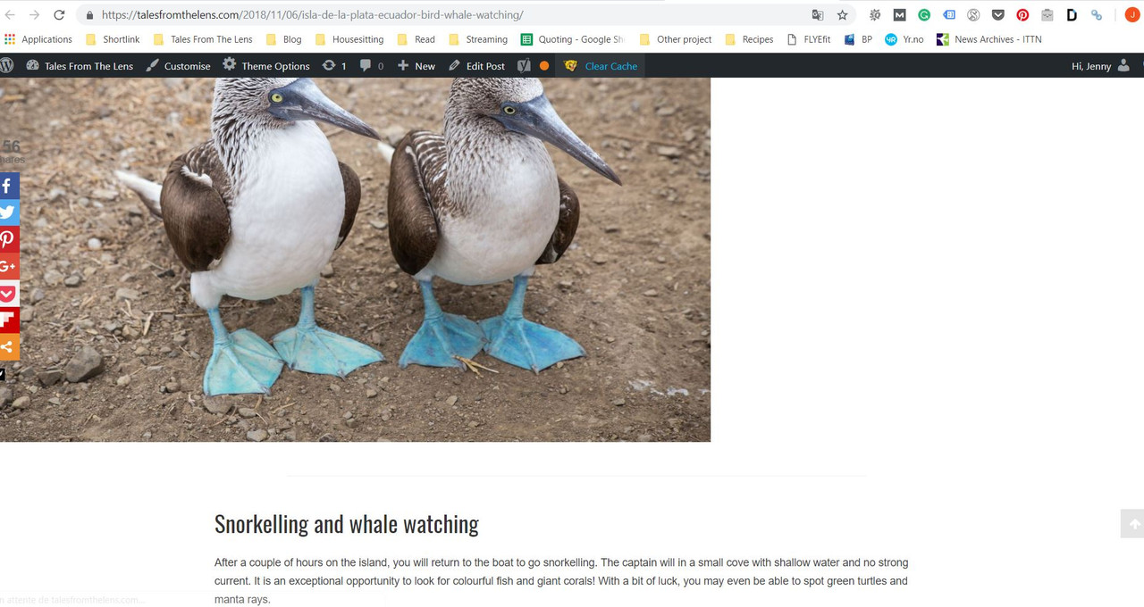Fullwidth post