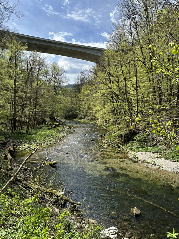 IMG_0213