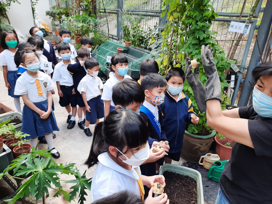 photo-littlefarmer2223-1A-005