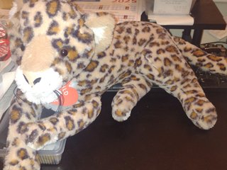 Leopard