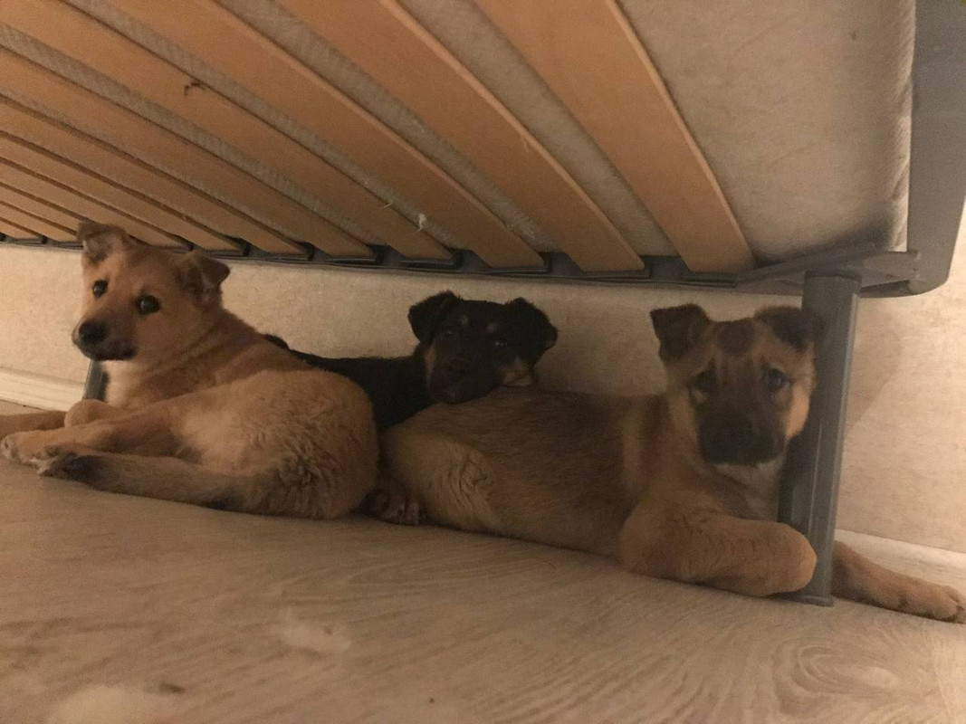 B24A4D52-FDA4-4D45-AC49-F3E7F2D007CD