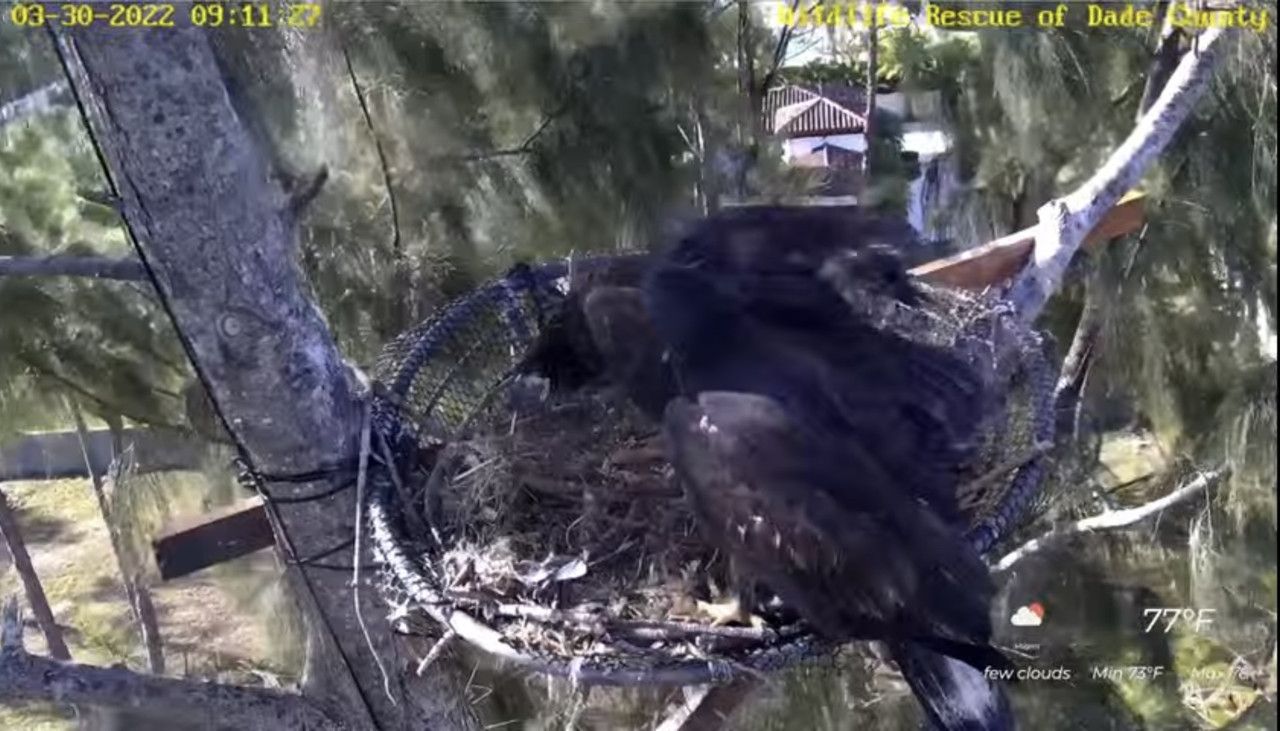 2DD50341-DF24-4E58-9911-FBBD742984DB