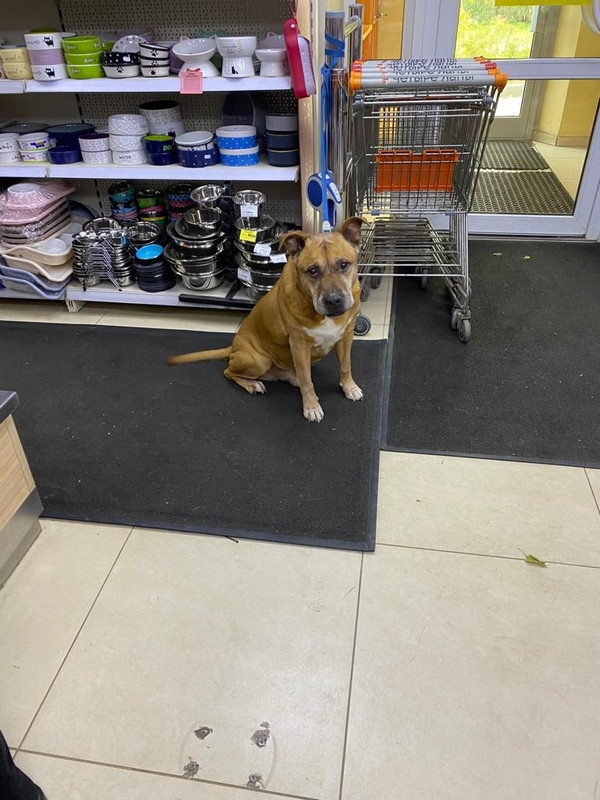 0DAA6074-AF74-47F9-A91F-D31EBF922672