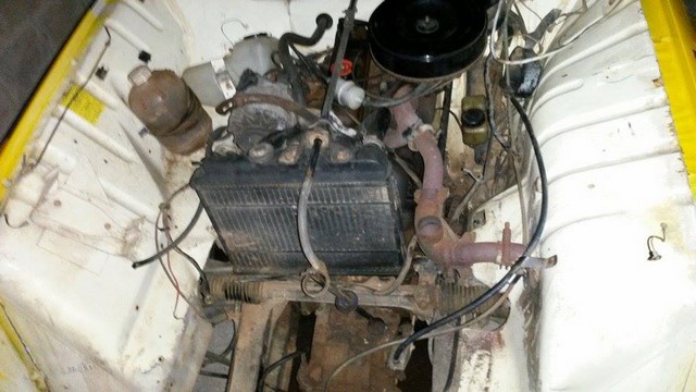 12528100_10208152342426347_1720656771_n (Copier)