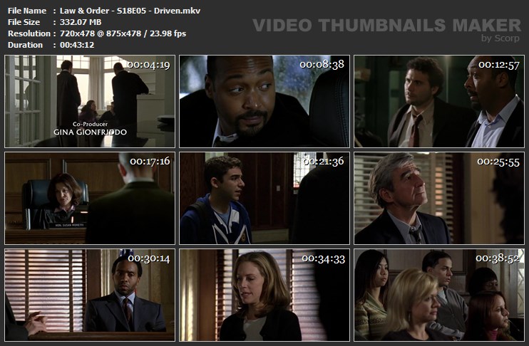 Law & Order - S18E05 - Driven.mkv