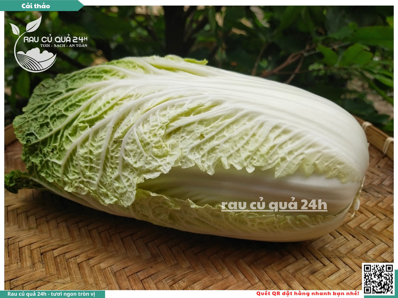 Cải Thảo 8