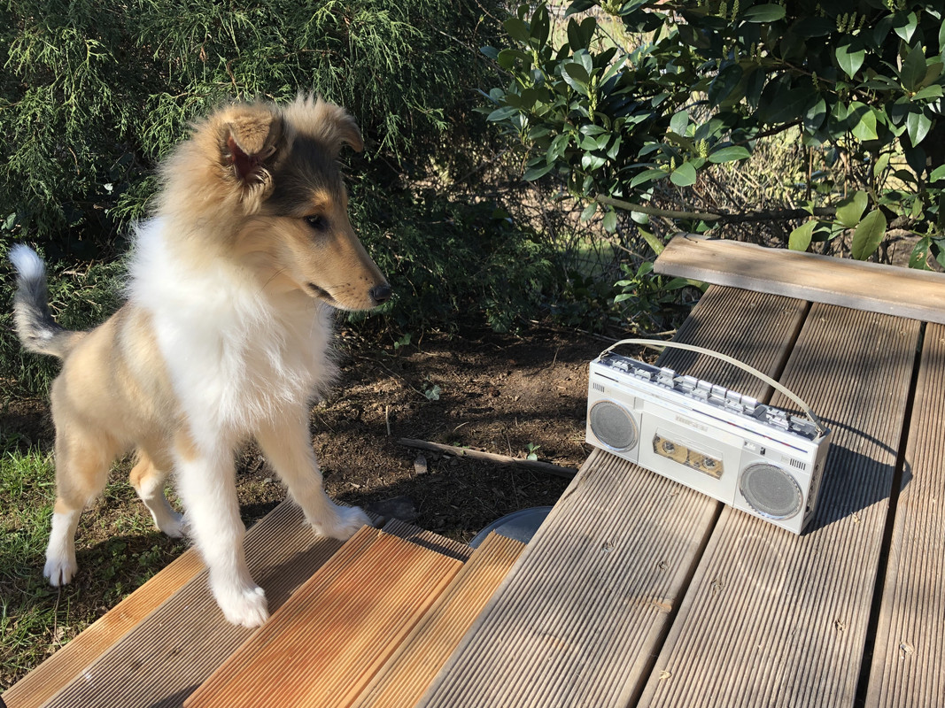 F02298DC-B269-4BC2-BB85-594A1C8A0EDC