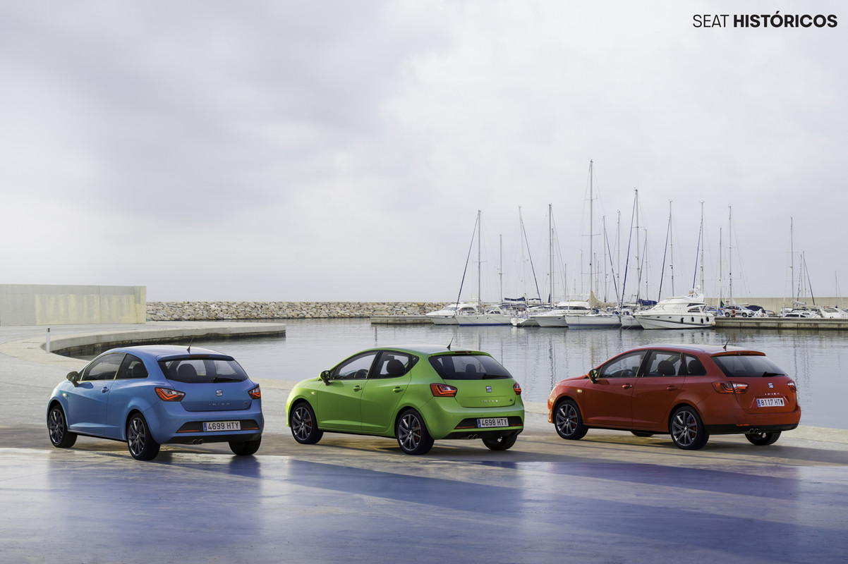 SEATIbizaMK4(9)