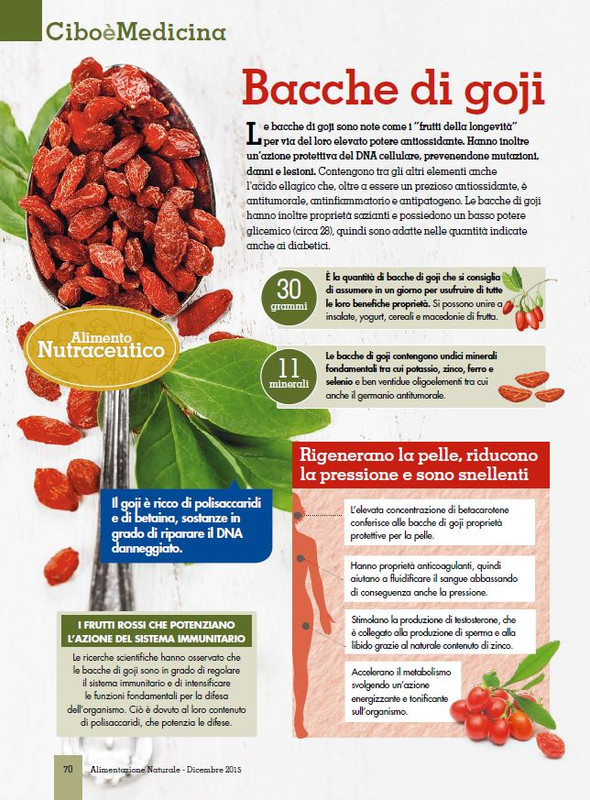 Alim Nat Dic 2015 (9)