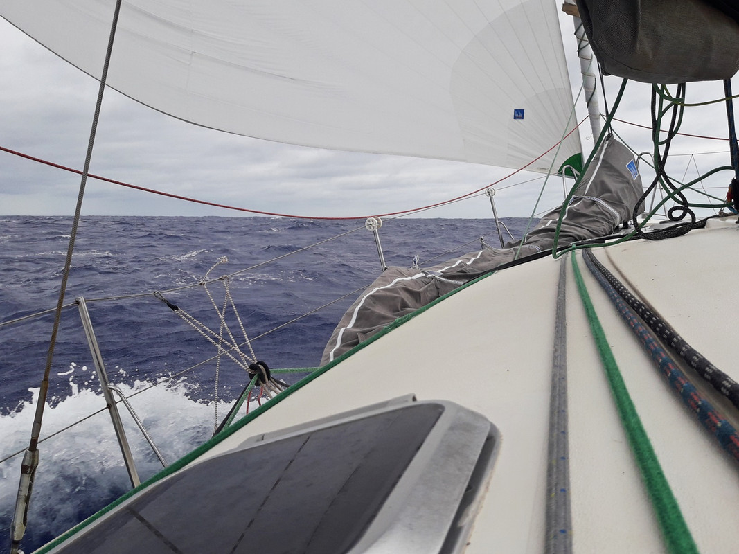 [Imagen: 20200224_124841.jpg]