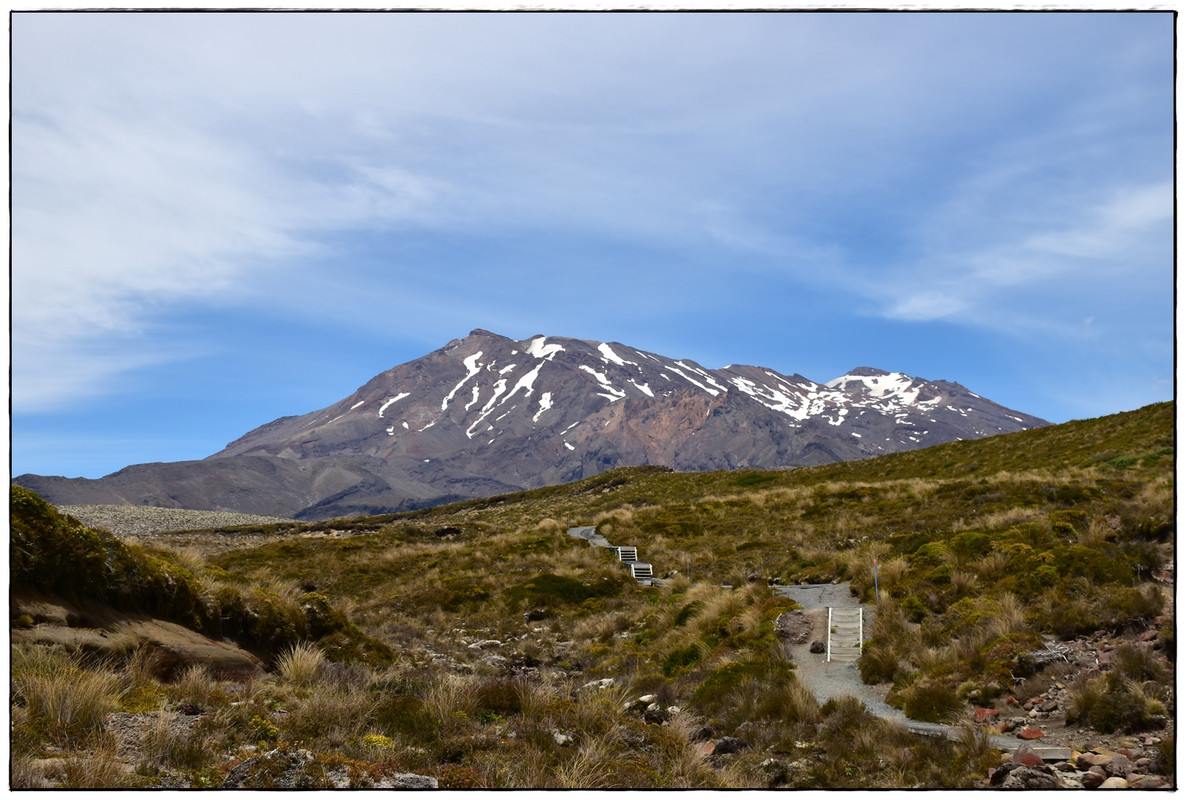 Tongariro NP: Tongariro Northern Circuit (enero 2022) - Escapadas y rutas por la Nueva Zelanda menos conocida (44)