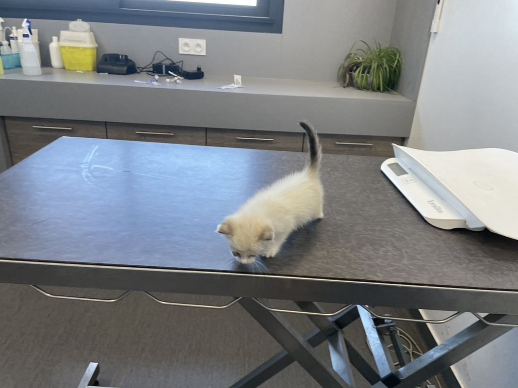 2BEEE1F2-B3F6-4A40-BB45-356F6912FE54