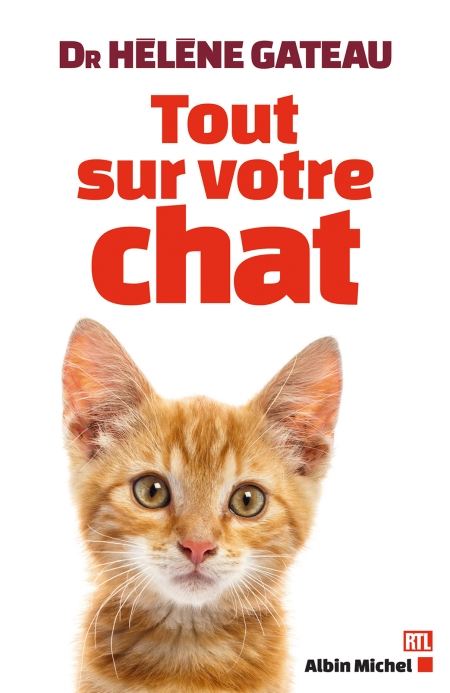 Tout-sur-votre-chat-H-l-ne-Gateau.jpg