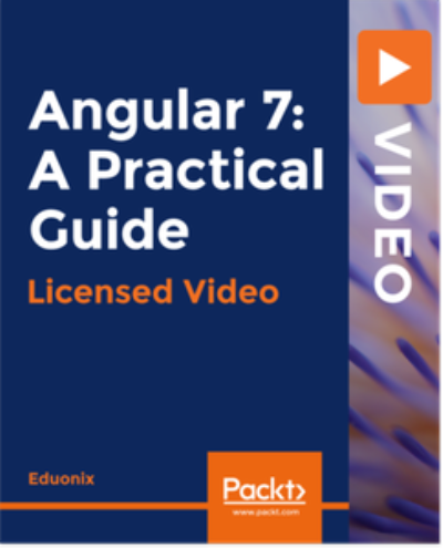 Angular 7 A Practical Guide