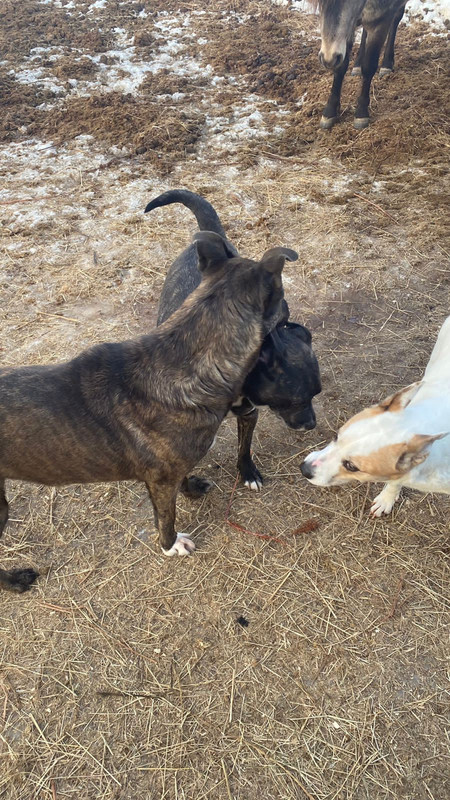 E157116D-3069-4325-90BF-0FAE6DBA96C0