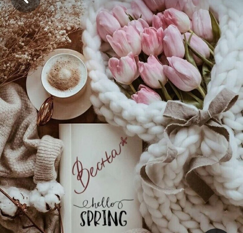 Screenshot_20230225_012452_Pinterest