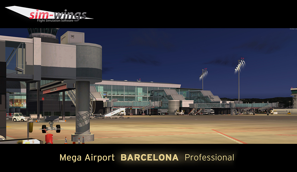 barcelona-professional (2)