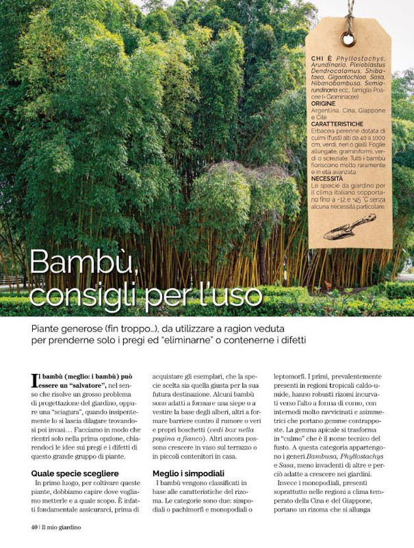 Il Mio Giar Ott-Nov 2022 (7)