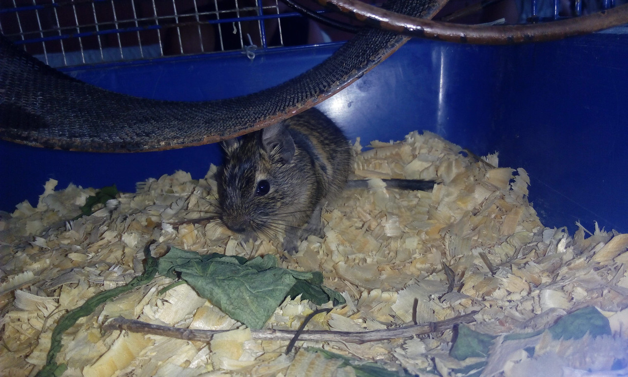 PHOTO_20160712_203612