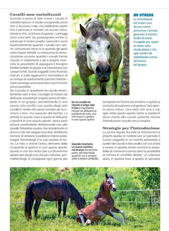 Il Mio Cav (Lug 2022) 6