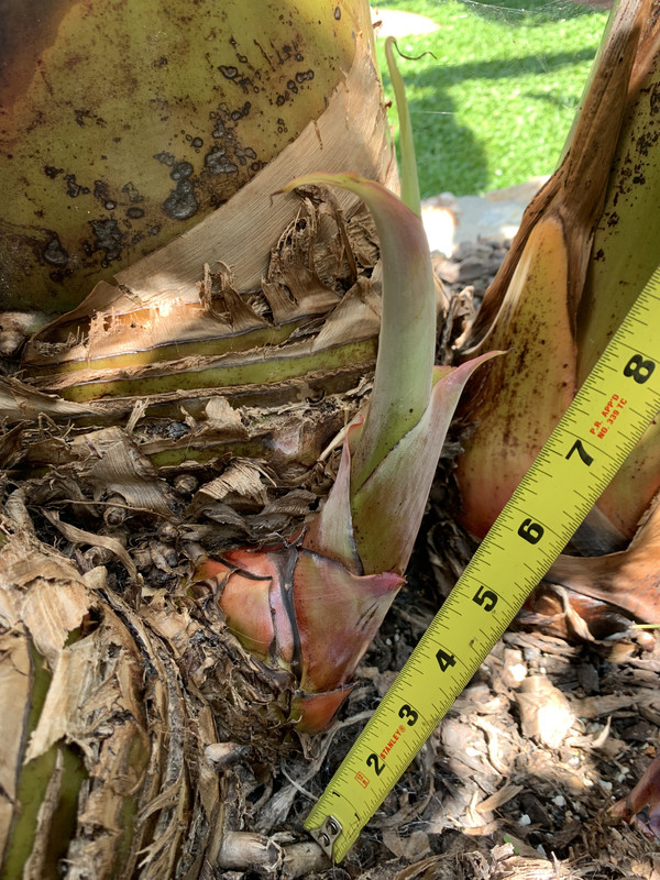 D76F6102-A58F-4DA3-ABBB-F50E981A52B1