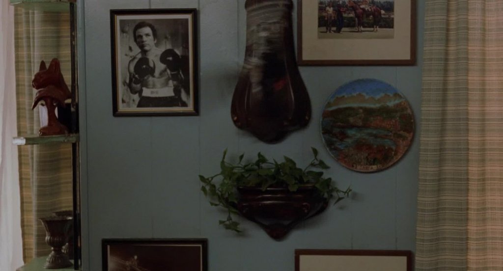 [Image: kxl494w8fsof.jpg]