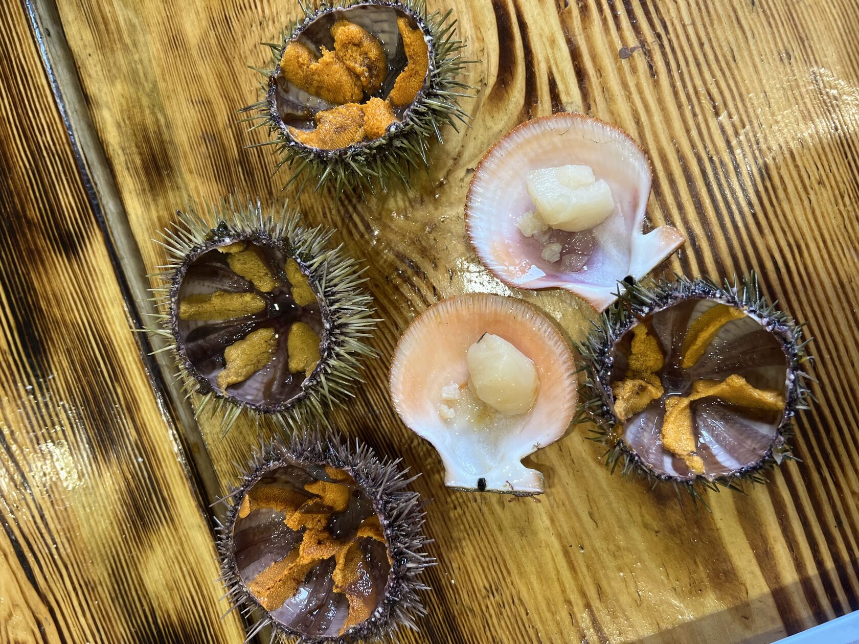 Морские ежи и гребешки
