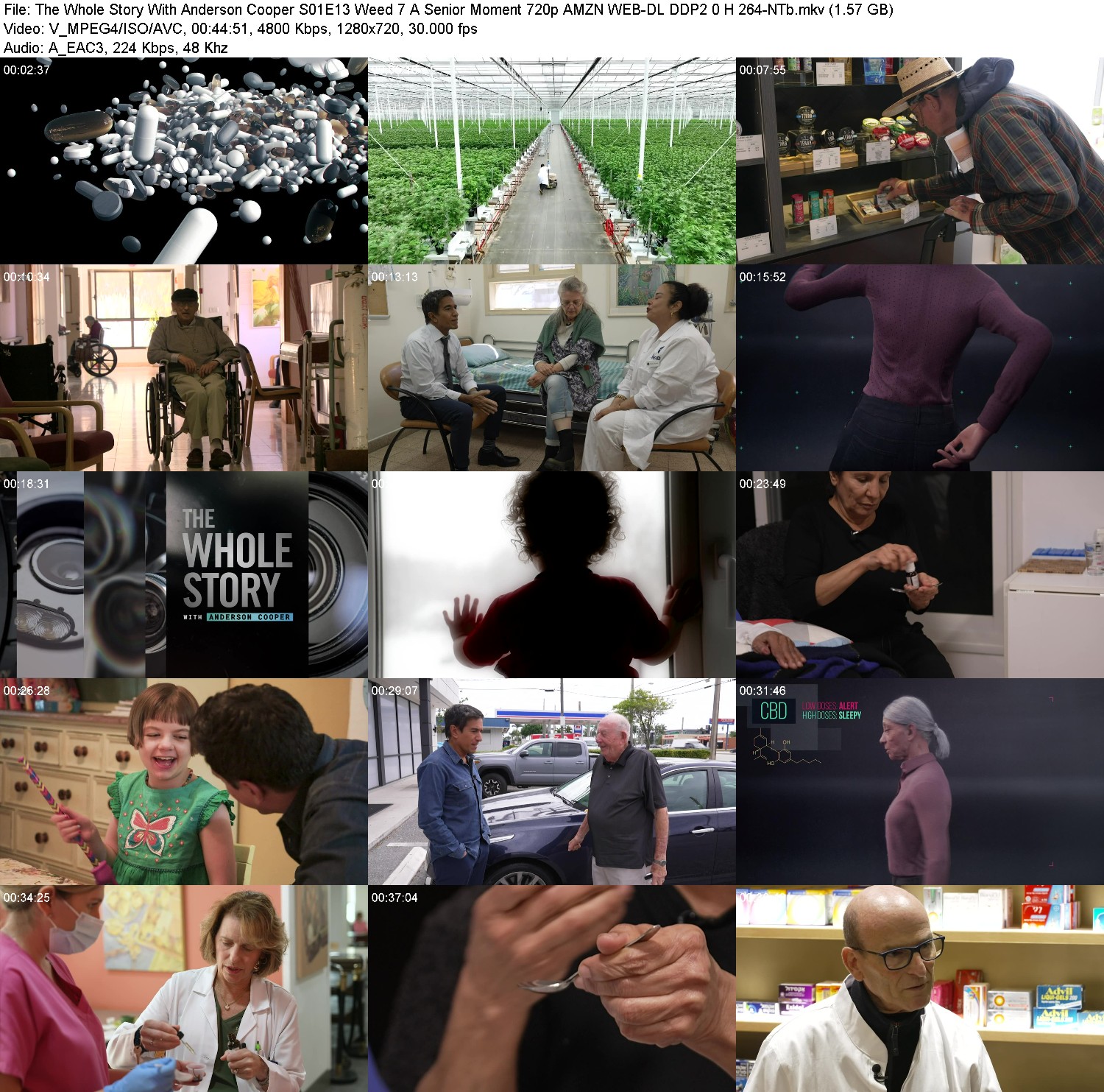 [Image: x0s0vvb6di5d.jpg]