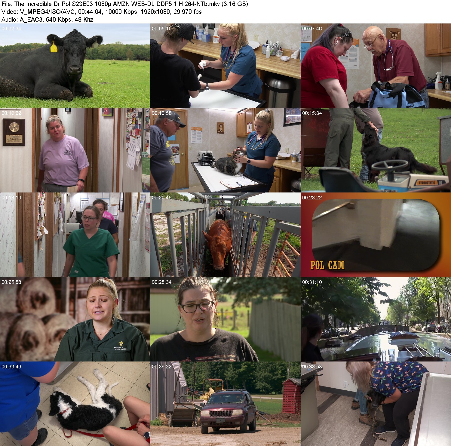 [Image: jtq8qo19fi7c.jpg]