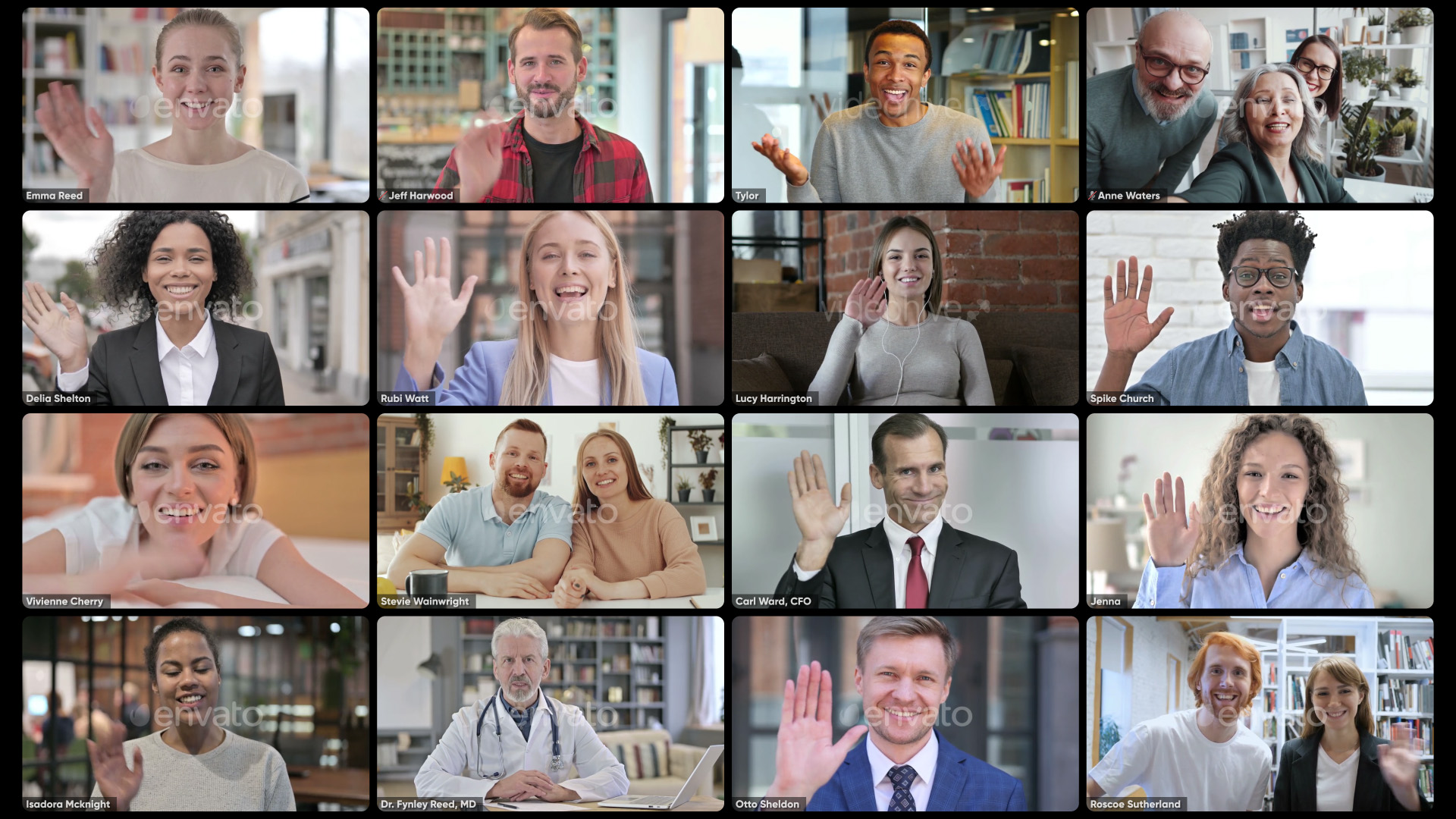 Zoom Views: Online Video Conference Toolkit - 26